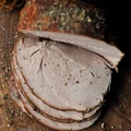 Pieczona szynka