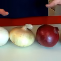 Cebula cebuli nierówna! Zobacz czym się różnią. Rodzaje cebuli i ich zastosowanie.
