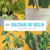 DIY 5 pomysłów na proste znaczniki do roślin