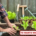 Najciekawsze TRIKI do ogrodu na WIOSNĘ!