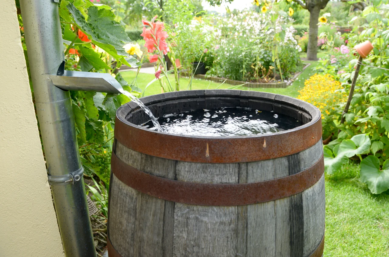 Dotacje na deszczówkę wracają! Nawet 4000 zł dla właścicieli domów w 2026 roku