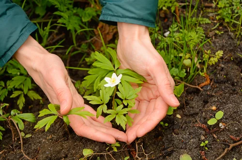 Dzień Ligi Ochrony Przyrody: Historia i Znaczenie
