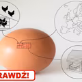 Czy wiesz jakie JAJKA spożywasz?
