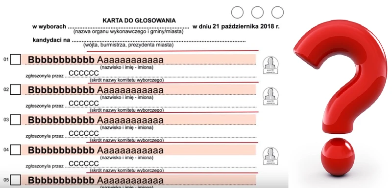 Jak głosować w wyborach samorządowych? Instrukcja krok po kroku