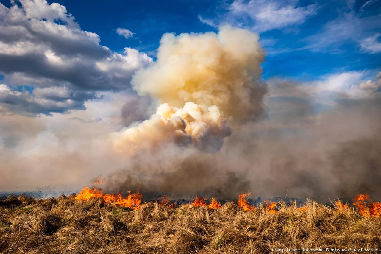 Pożar w największym parku narodowym w Polsce! Ogień rozciąga się już na ponad kilometr!