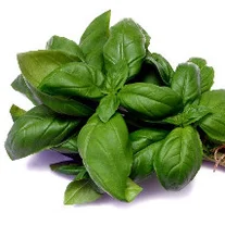 Bullio