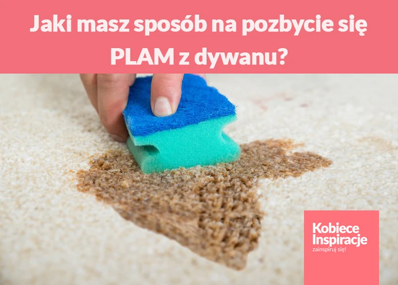 Jaki masz sposób na pozbycie się PLAM z dywanu?