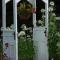 Pergola z drzwi