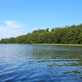 30 osób zatrutych nad jeziorem! Sanepid ustalił przyczynę!