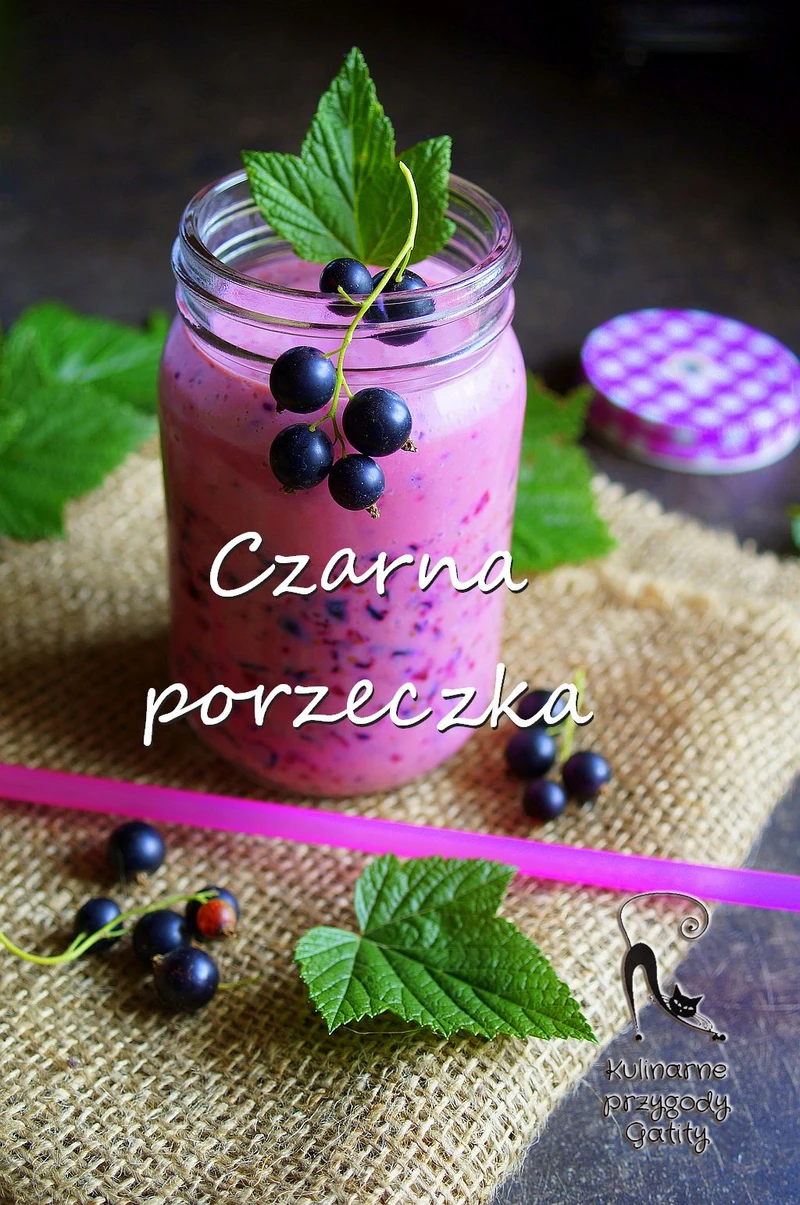 Jogurtowy koktajl z czarną porzeczką