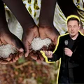 Elon Musk zwalczy głód na całym świecie? Stawia tylko jeden warunek!