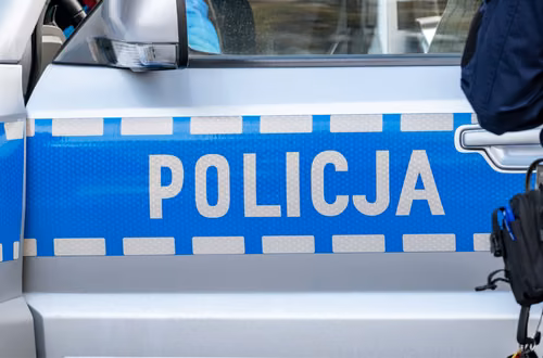 21-latek zatrzymany przez Policję - to on miał skatować i porzucić królika! Historia Marcysia poruszyła tysiące Polaków
