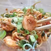 Piątek: Stir fry z krewetkami i pomidorem