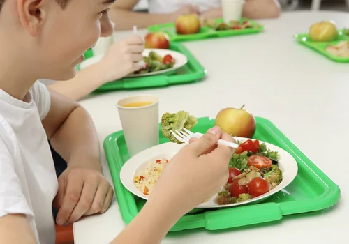 Bezpłatny, ciepły i zdrowy posiłek dla dzieci w szkołach! Projekt ustawy czeka na nasze podpisy