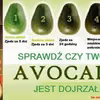 JAK SPRAWDZIĆ CZY NASZE AWOKADO JEST DOJRZAŁE ?