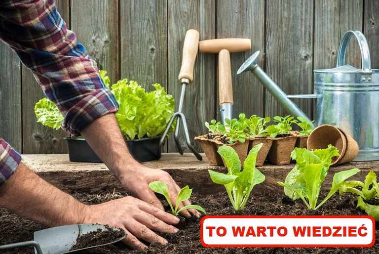 Najciekawsze TRIKI do ogrodu na WIOSNĘ!