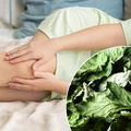 Ten naturalny napar przyniesie ulgę spuchniętym kolanom! Wystarczy zajrzeć do ogrodu