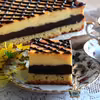 ciasto Hali (sernik na budyniu czekoladowym)