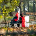 Światowy Dzień Organizacji Pozarządowych: Rola NGO w Społeczeństwie