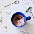 PUDDING PORZECZKOWY