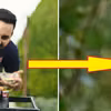 GRILL lepszy niż u sąsiada - sprawdź najlepsze porady!