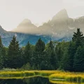 Europejski Dzień Parków Narodowych: Ochrona Przyrody i Dziedzictwa Kulturowego