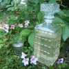 Letni orzeźwiający syrop miętowo-limonkowy