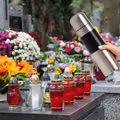 Kwiaty na grób więdną w kilka dni? Ten trik może je uratować