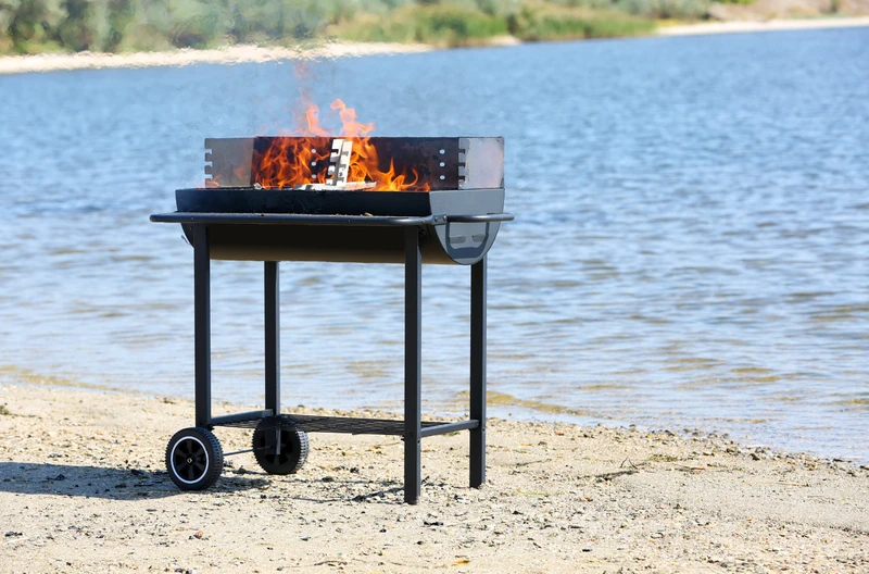Grillowanie w parku czy na plaży? Sprawdź, co mówi prawo i uniknij kary 5 tysięcy złotych!