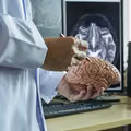 Europejski Dzień Mózgu: Zrozumieć, chronić i pielęgnować nasz najważniejszy organ