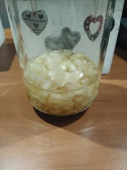 Syrop z cebuli – przygotowanie oraz działanie