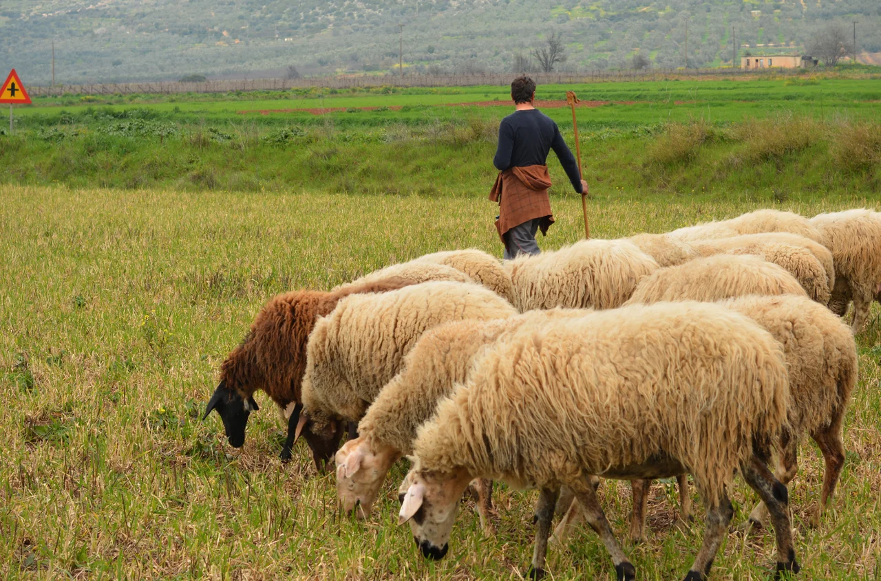 Parilia: Starożytne Rzymskie Święto Pasterzy i Trzód