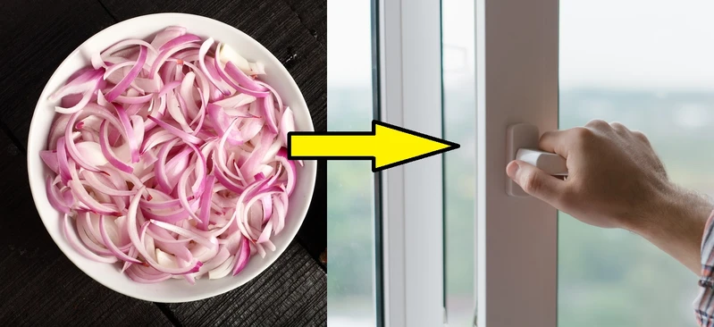 Wystaw pokrojoną cebulę za okno! Uciążliwy problem zniknie