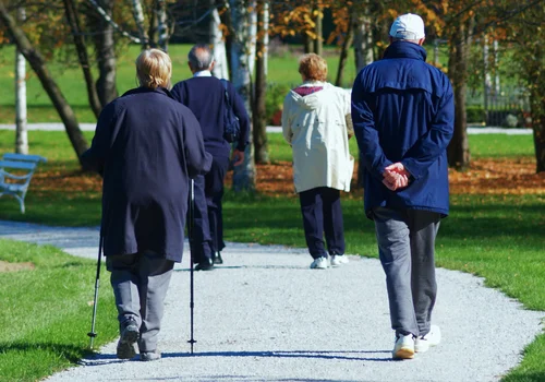 Duże zmiany w popularnym programie dla seniorów! Na 2026 zaplanowano wyższe dofinansowanie