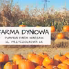 Farma dyniowa