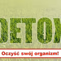 Oczyść swój organizm! - sposoby na detoks organizmu