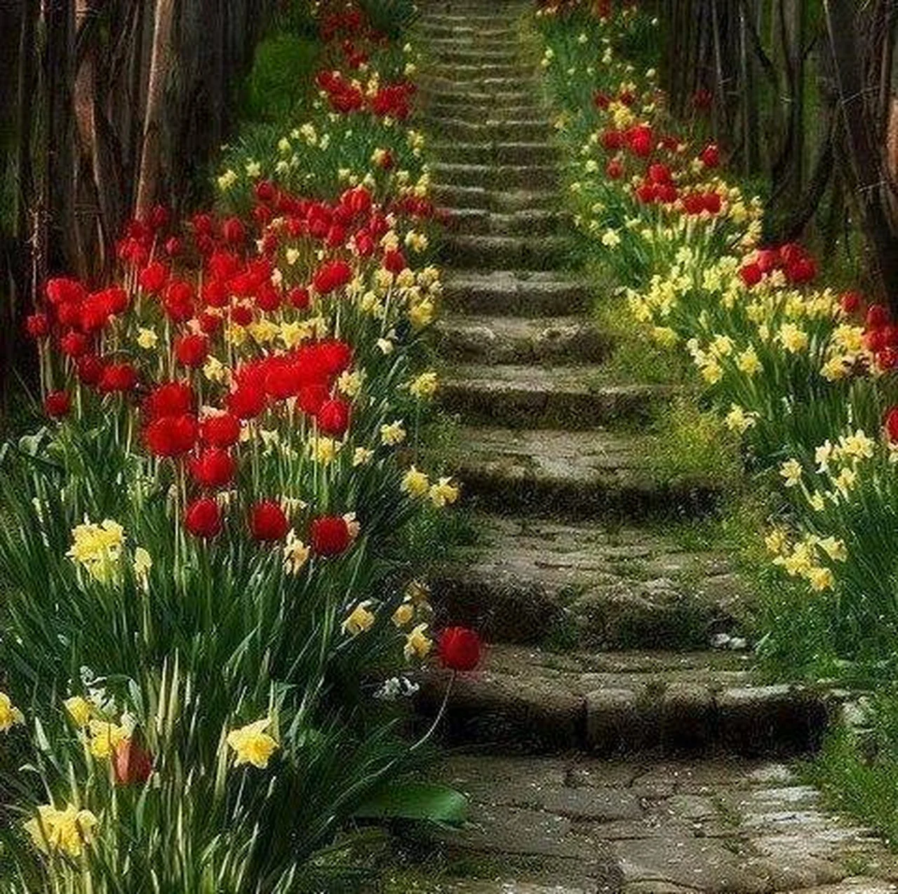 Zielone schody w ogrodzie