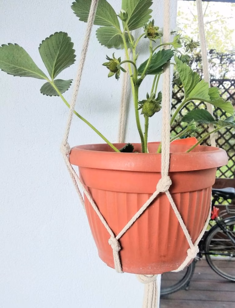 Jak zrobić kwietnik ze sznurka – łatwa makrama – DIY