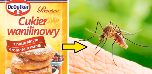 Cukier wanilinowy odstrasza komary! Sprawdź, jak go stosować