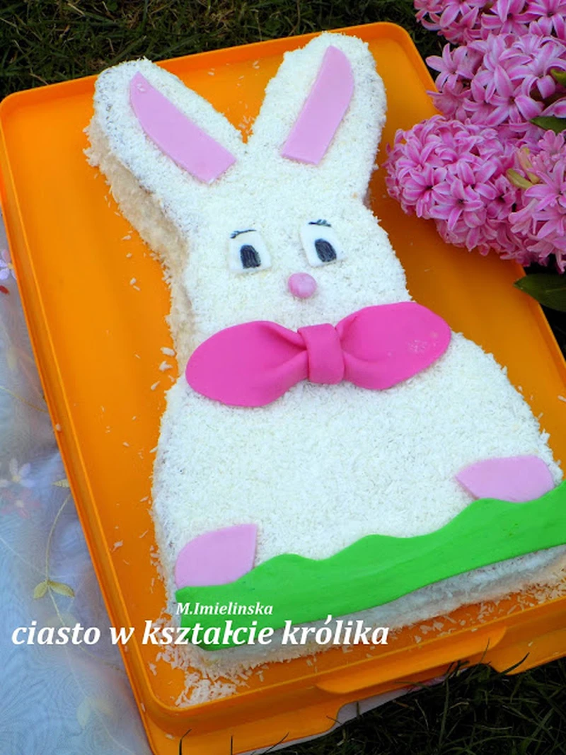 kokosowy królik