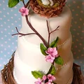 Wiosenny tort