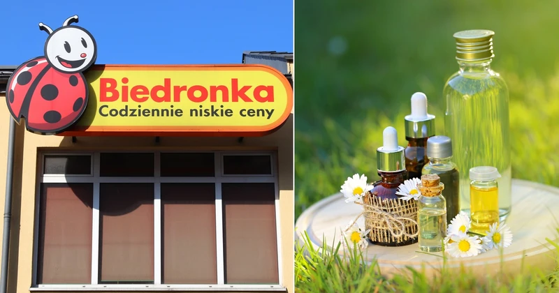 Tanie, wegańskie kosmetyki polskiej marki w Biedronce. Sprawdź, ile kosztują!