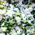 Twarożkowa pasta tzatziki z azjatyckim akcentem FIT