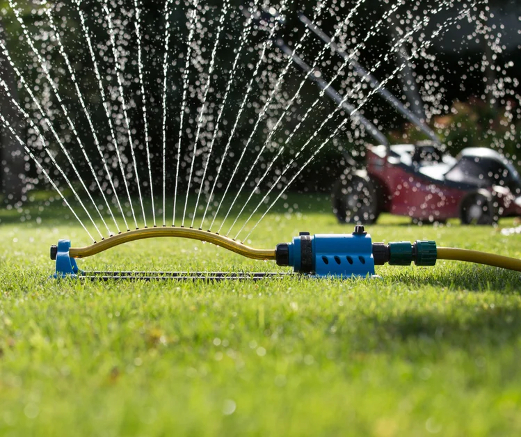 Zdjęcie Uratuj swój trawnik! Tajemnicza Metoda z Użyciem Śrubokręta! #1