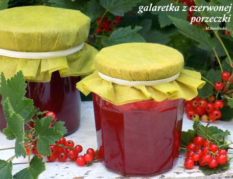 galaretka z czerwonej porzeczki