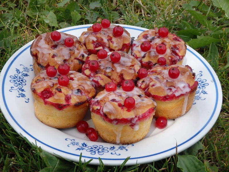 Jogurtowe muffinki z czerwoną porzeczką