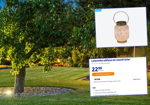 Latarenka solarna z Action za 22,99 zł to jesienny hit balkonów i ogrodów! Ciepłe światło, stylowy wzór i zero kabli!