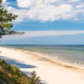 Uwaga na sinice! Lista zamkniętych plaż nad Bałtykiem!