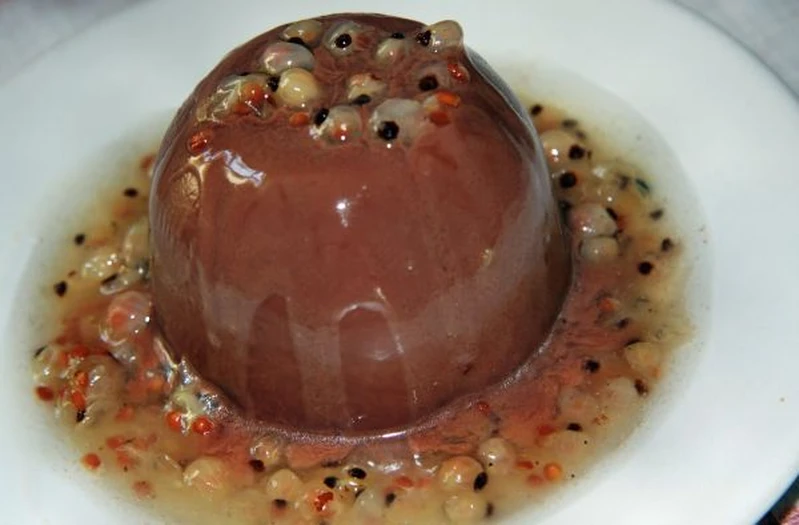 Panna Kottka