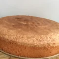 Puszysty biszkopt